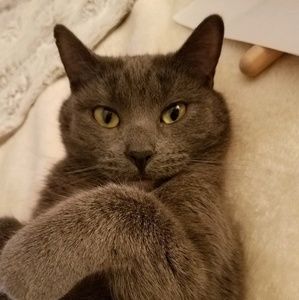 Meet your Posher, Renee